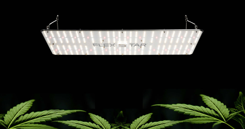 Flexstar PB LED Grow Light - 240 watt
