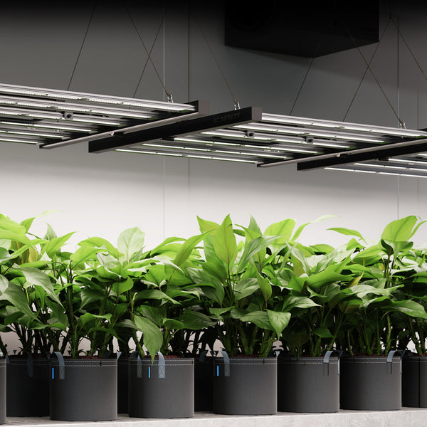 AC Infinity IONFRAME EVO8 730W Astral Grow