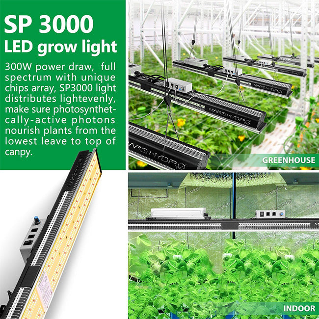 Mars Hydro SP 3000 LED Grow light