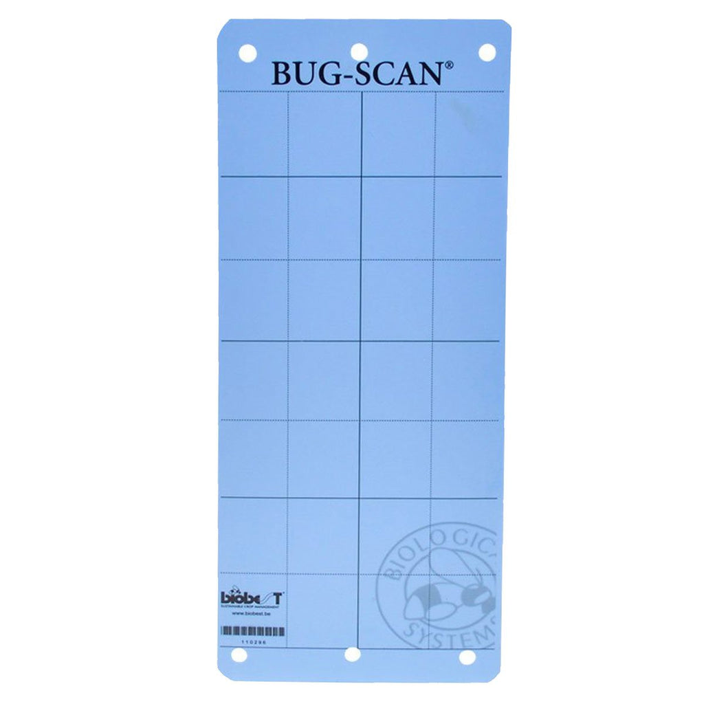 Bug-Scan Blue for Thrips / Leafminer 4" x 10"