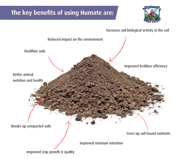 Humate Mine Neptune's Harvest Liquid Humate - 1 litre – Astral Grow