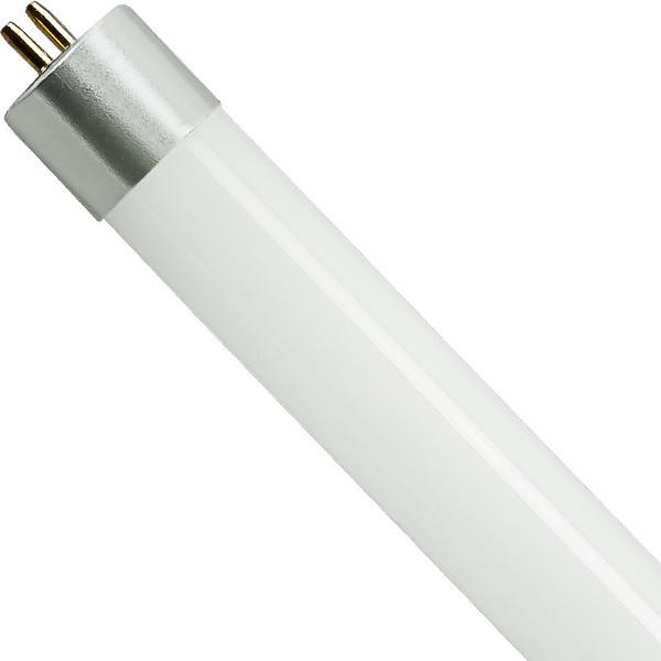 4' T5 Replacement Bulbs - 6500k