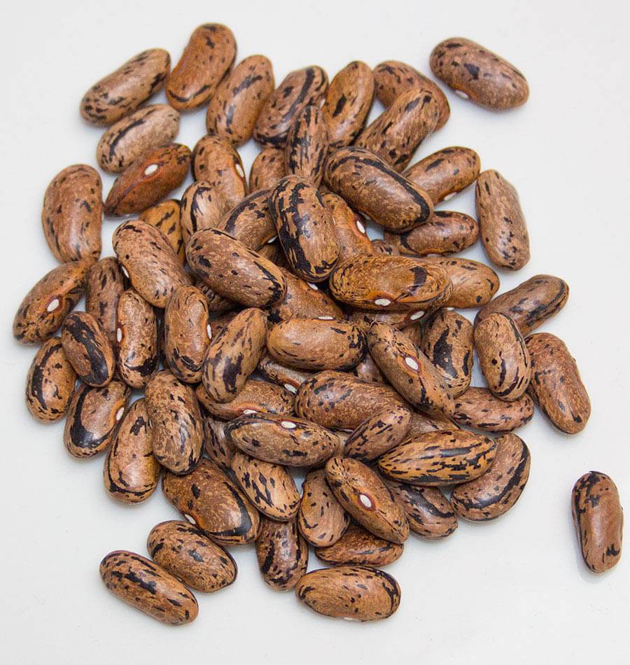 Pole Beans - Borlotti Drying Bean Seeds