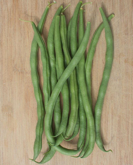 Pole Beans - Matilda Pole Bean