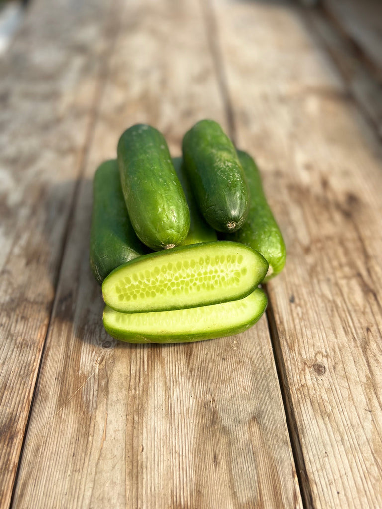 Cucumber - Mini-Me F1 Certified Organic
