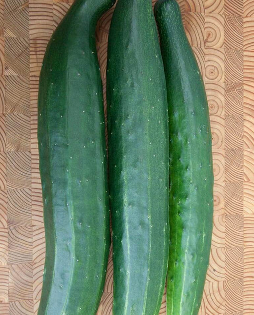 Cucumbers - Tasty Green