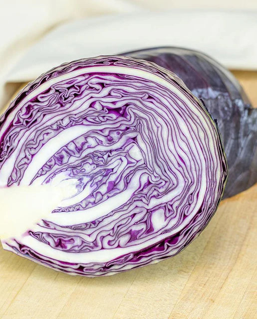 Cabbage - Integro F1 (Coated) Certified Organic Seeds