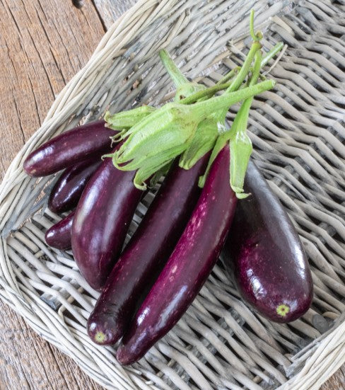 Eggplant - Little Finger Certified Organic