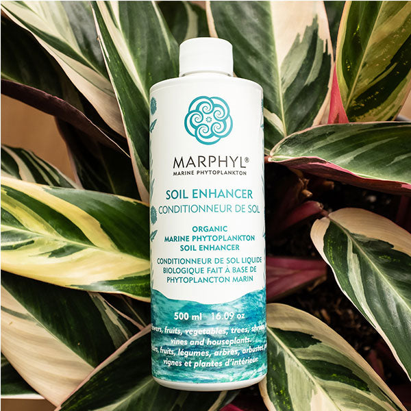 marphyl organic liquid fertilizer Marphyl Organic Marine Phytoplankton Soil Enhancer – Astral Grow