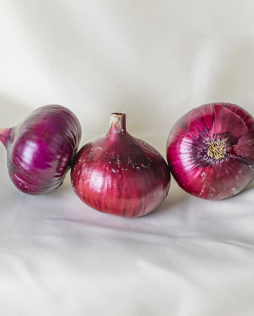Onions - Cabernet F1 Certified Organic Seeds