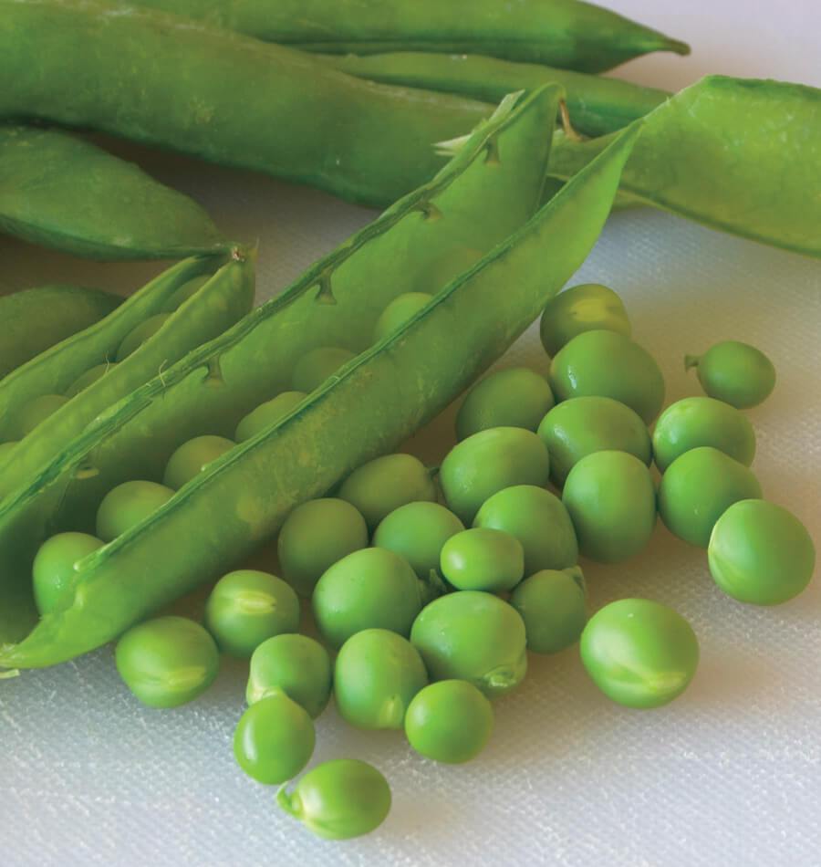 Shelling Peas - Green Arrow