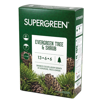 Supergreen Evergreen Tree & Shrub 13-6-6 1.7kg