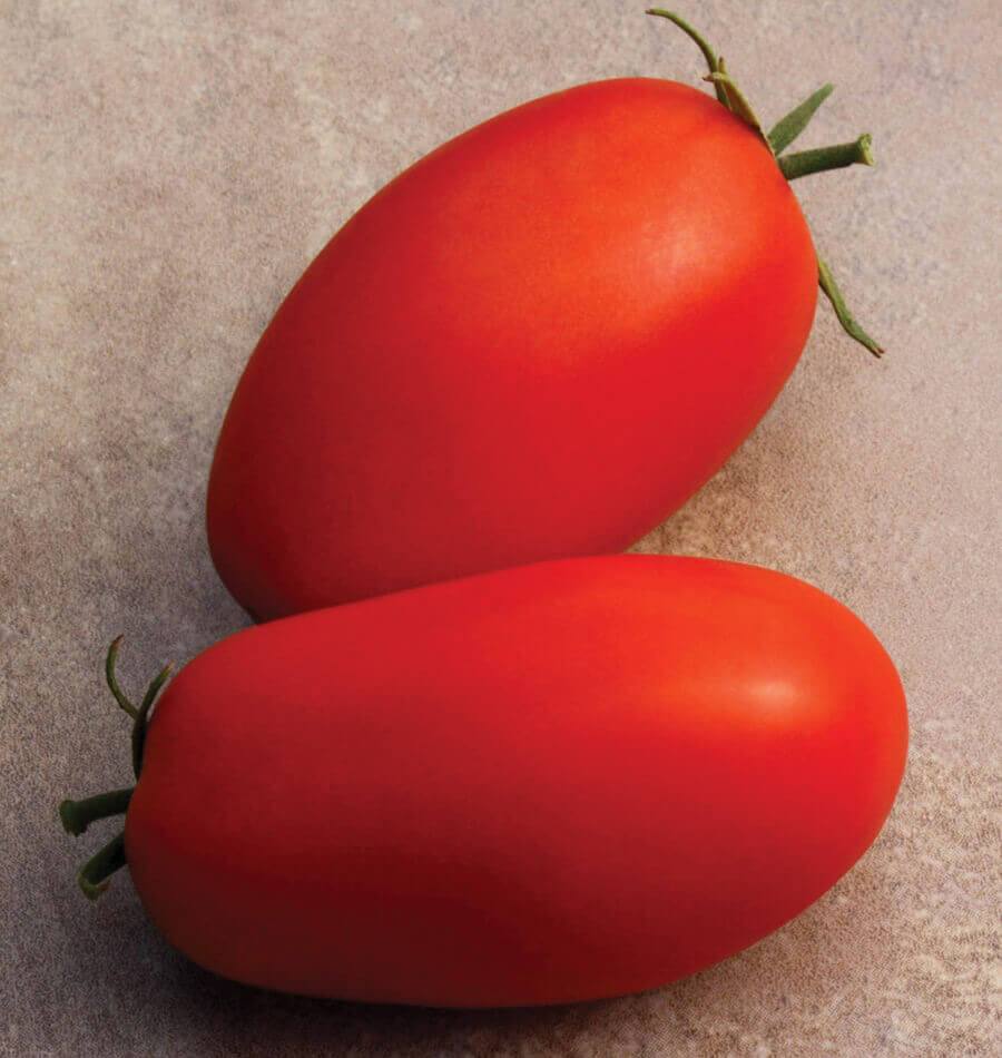 Tomatoes - Supremo