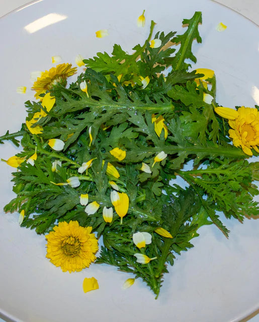 Wild Greens - Frilly Edible Chrysanthemum Seeds