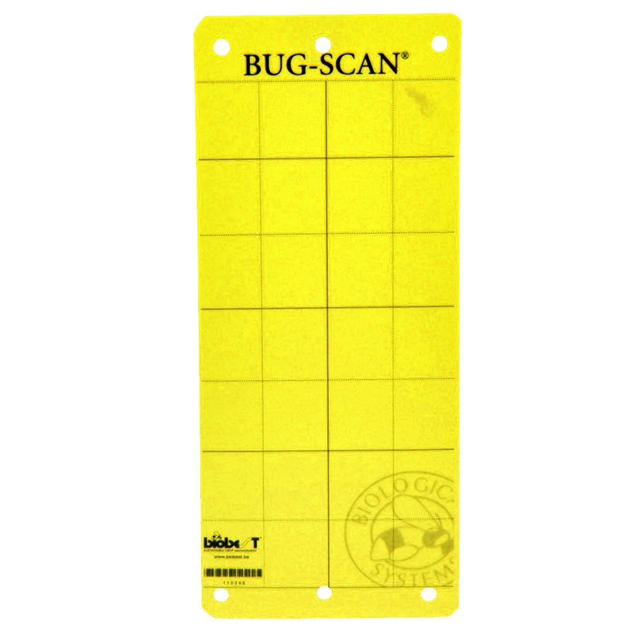 Bug-Scan Yellow 4" x 10" - 20 pack