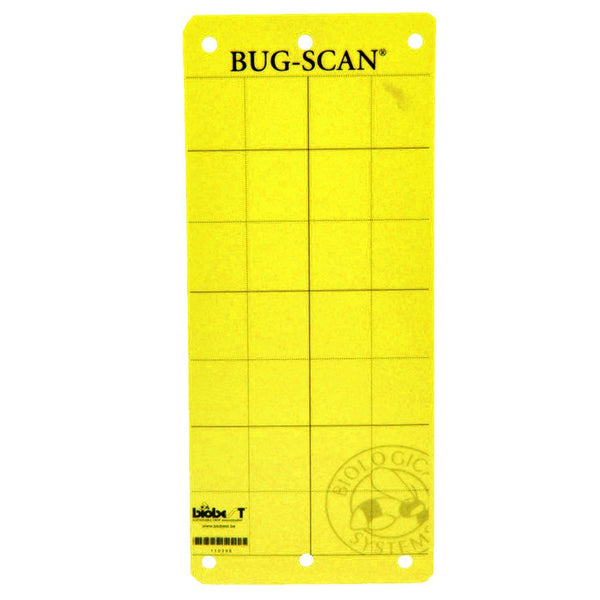 Bug-Scan Yellow 4
